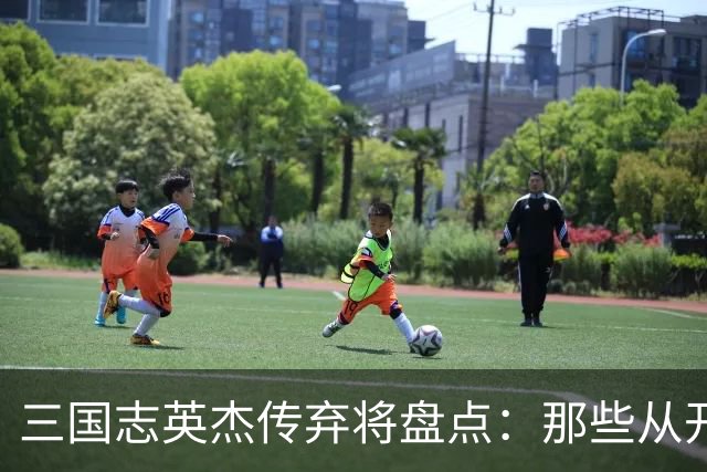 三国志英杰传弃将盘点：那些从开局就注定无缘决战的武将
