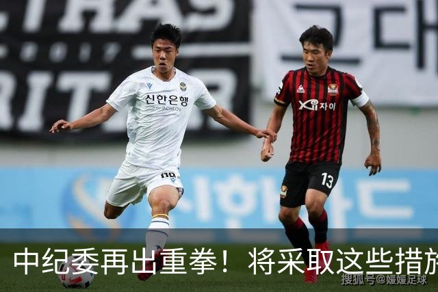 中纪委再出重拳！将采取这些措施，以钉钉子方式严查蝇贪蚁腐！