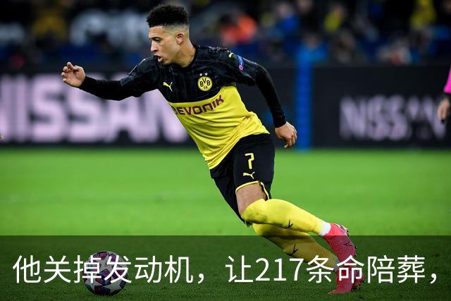 他关掉发动机，让217条命陪葬，调查6年却只留下一句：动机不明