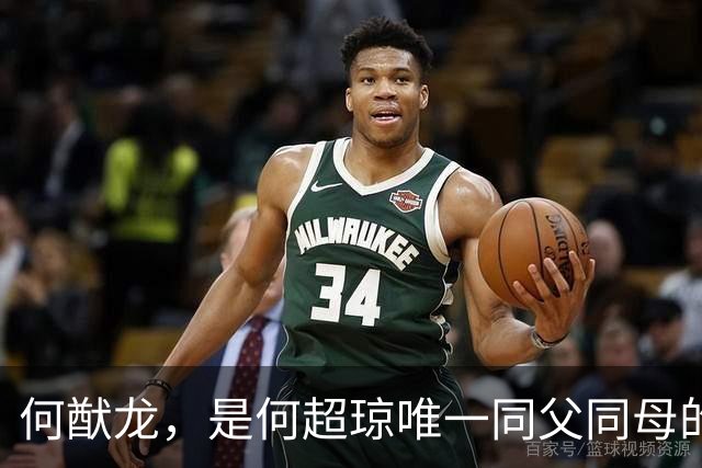 何猷龙，是何超琼唯一同父同母的亲弟弟