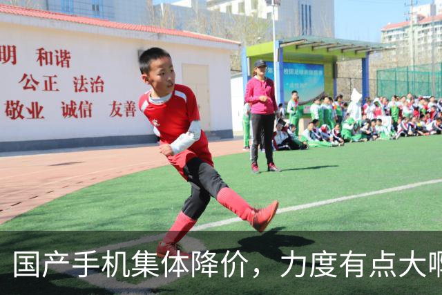 国产手机集体降价，力度有点大啊！