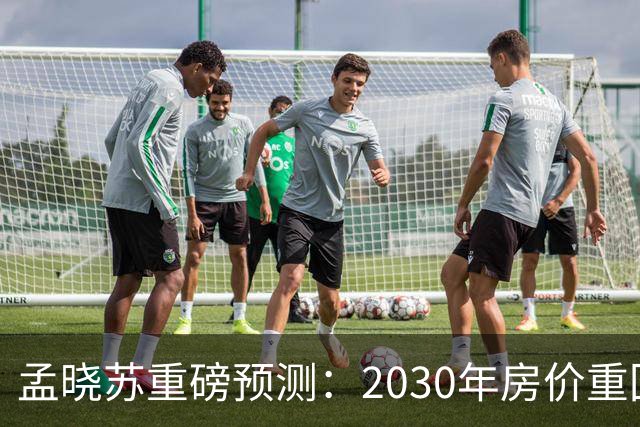 孟晓苏重磅预测：2030年房价重回前高没有悬念