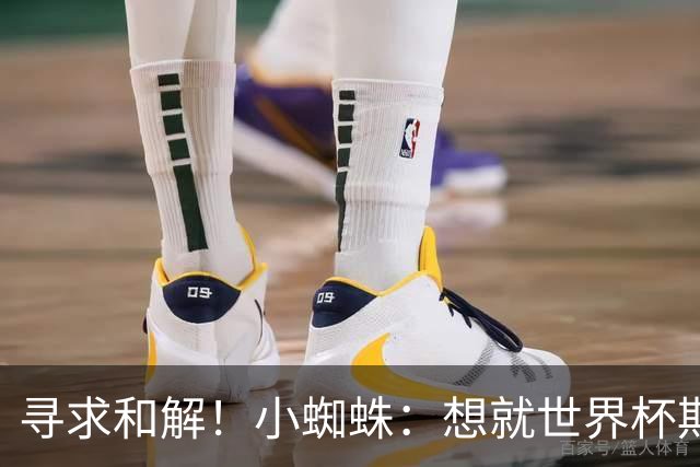 寻求和解！小蜘蛛：想就世界杯期间言论向球迷道歉 那是一个错误