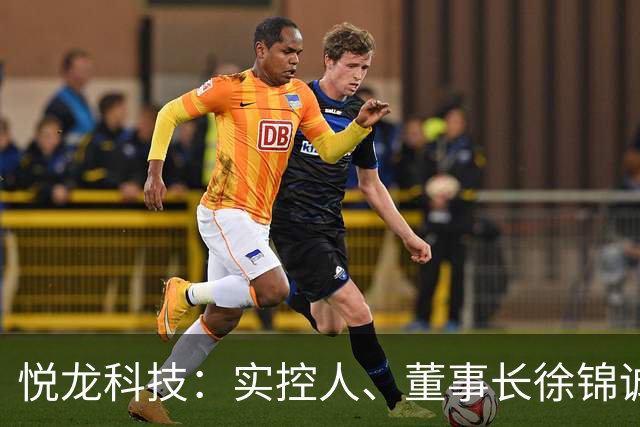悦龙科技：实控人、董事长徐锦诚因公途中遇交通事故逝世