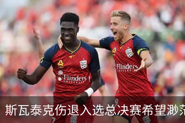 斯瓦泰克伤退入选总决赛希望渺茫，施耐德打出宁网开赛最惊险比赛