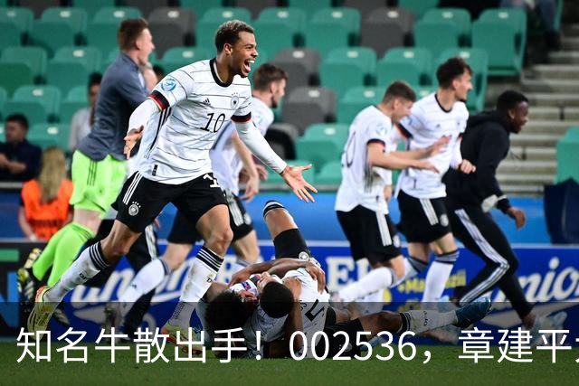 知名牛散出手！002536，章建平大举买入
