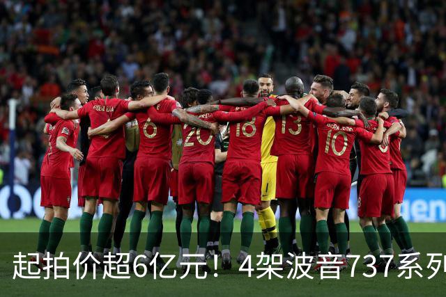 起拍价超6亿元！4架波音737系列民航客机无人报名流拍，共吸引12万余人次围观