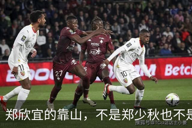 郑欣宜的靠山，不是郑少秋也不是沈殿霞的遗产，而是事事兜底的她