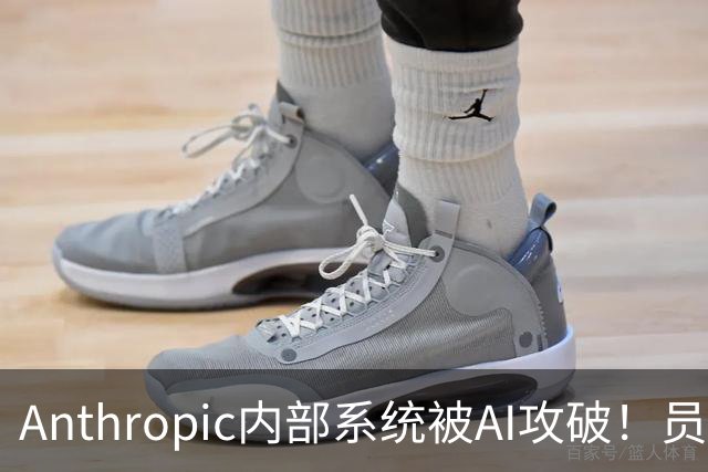 Anthropic内部系统被AI攻破！员工薪酬全曝光了
